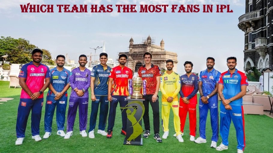 Which Team Has the Most Fans in IPL