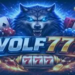Wolf777 Explained